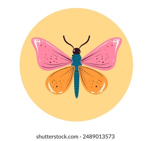 Mariposa insecto polilla lindo conjunto aislado concepto. Ilustración gráfica de diseño de Vector	