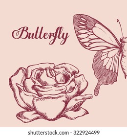 Butterfly insect and natural icons design, vector illustration 10 eps graphic.