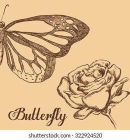 Butterfly insect and natural icons design, vector illustration 10 eps graphic.
