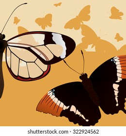Butterfly insect and natural icons design, vector illustration 10 eps graphic.