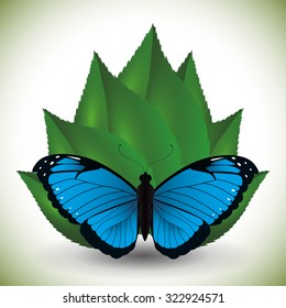 Butterfly insect and natural icons design, vector illustration 10 eps graphic.