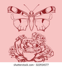 Butterfly insect and natural icons design, vector illustration 10 eps graphic.