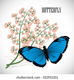 Butterfly insect and natural icons design, vector illustration 10 eps graphic.