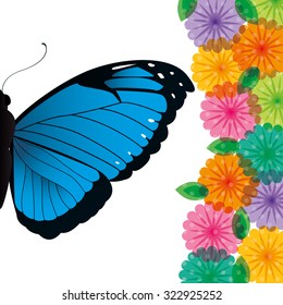 Butterfly insect and natural icons design, vector illustration 10 eps graphic.