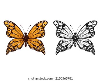 Butterfly insect set. Butterflies colorful and black group. Vector illustration isolated on white.