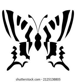 Butterfly insect silhouette outline on white background
