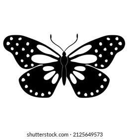 Butterfly insect silhouette outline on white background