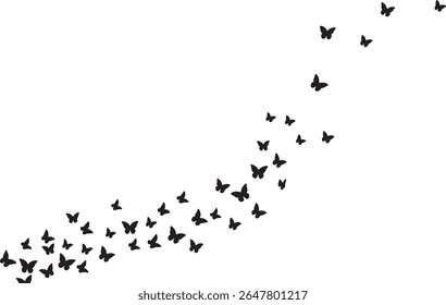 butterfly, insect, silhouette, wings, flight, flutter, nature, black, 