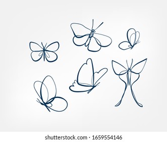 butterfly insect vector art line isolated doodle illustration