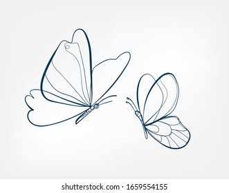 butterfly insect vector art