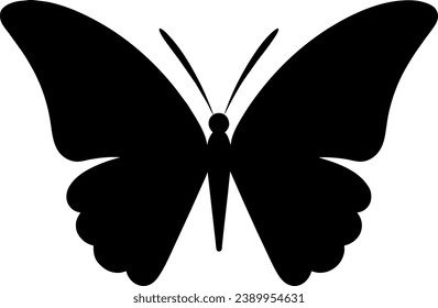 butterfly insect vector art line isolated doodle illustration