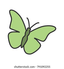 Butterfly, insect, wings