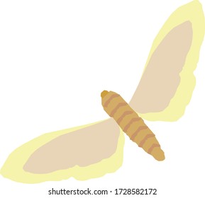 butterfly insects vector wildlife forest animals separately on a white background color stylization abstraction