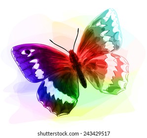 Butterfly. Iridescent colours. Unfinished Watercolor drawing imitation. Vector illustration.