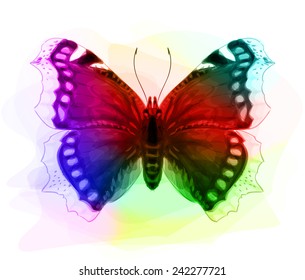 Butterfly Iridescent Colours Vector Illustration: เวกเตอร์สต็อก (ปลอด ...