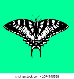Butterfly isolated black and white 