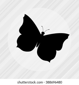 butterfly isolated design 