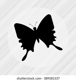 butterfly isolated design 