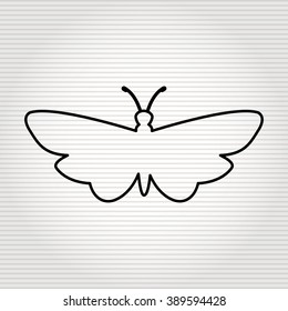 butterfly isolated design 