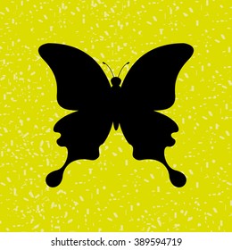 butterfly isolated design 