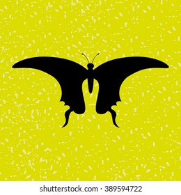 butterfly isolated design 