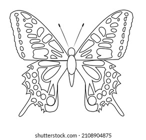 Butterfly isolated icon on white background. Papilio sp. Sketch. Vector flat illustration.