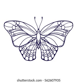 Butterfly Isolated Line Art Stock Vector Illustration. Hand Drawn Doodle Coloring Book Page.