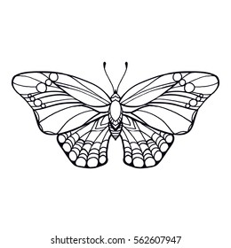 Butterfly isolated line art stock vector illustration. Hand drawn doodle coloring book page.