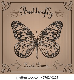 Butterfly isolated on the background texture of the old paper. Butterfly sketch elements. Retro hand-drawn vector illustration. Great for poster, banner, voucher, coupon.