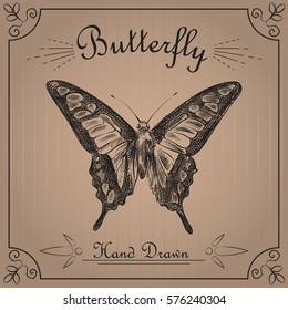 Butterfly isolated on the background texture of the old paper. Butterfly sketch elements. Retro hand-drawn vector illustration. Great for poster, banner, voucher, coupon.
