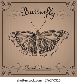 Butterfly isolated on the background texture of the old paper. Butterfly sketch elements. Retro hand-drawn vector illustration. Great for poster, banner, voucher, coupon.