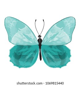 Butterfly isolated on white background. Watercolor. Vector illustration