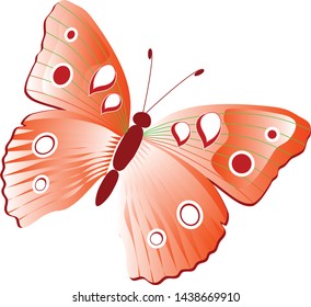 butterfly isolated on white background. illustration vector