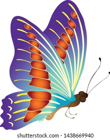 butterfly isolated on white background. illustration vector