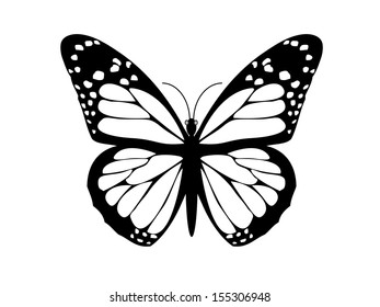 Mariposa, aislado en el fondo blanco 