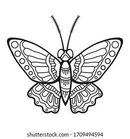 mariposa aislada en fondo blanco, vector ilustrativo, libro coloreado
