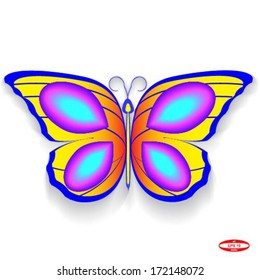 butterfly isolated on white background vector