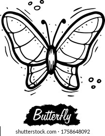 Mariposa aislada sobre fondo blanco. Ilustración de grabado vectorial negro vintage. Mano dibujada en un estilo gráfico.