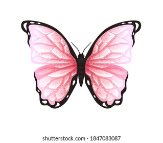 Butterfly isolated on a white background. Vector illustration. Colorful. Bright pink color. Realistic. Cute simple cartoon design. Flat style.