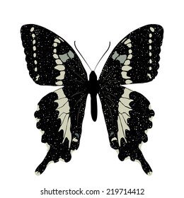 Butterfly isolated on white background. Vector EPS10.