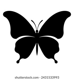 butterfly isolated on white background