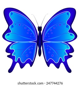 Butterfly. Isolated on white background.