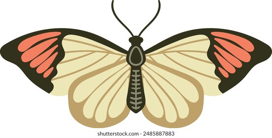 Butterfly isolated on white background