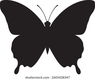 butterfly isolated on white background.
