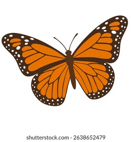 butterfly isolated on white background.The butterfly spreads its wings and is ready to fly.