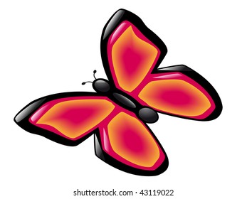 butterfly isolated on white background vector illustration
