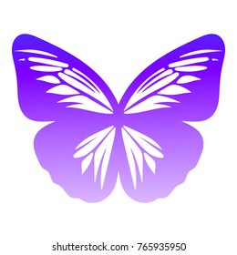 Butterfly isolated on white background. Vector illustration