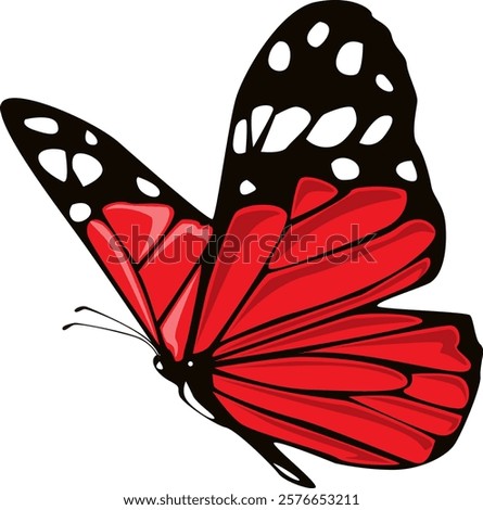 butterfly isolated on white background.The butterfly spreads its wings and is ready to fly