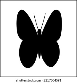 butterfly isolated on white and black color