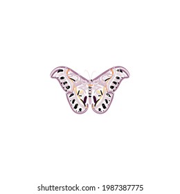 Butterfly isolated on white vector illustration